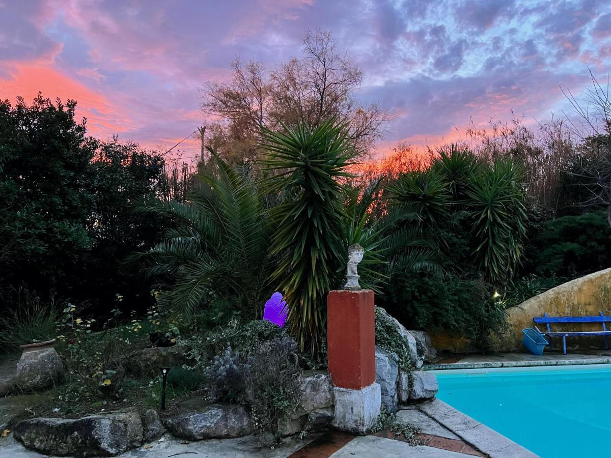 Le Clos De L'Isle Arles Esterno foto