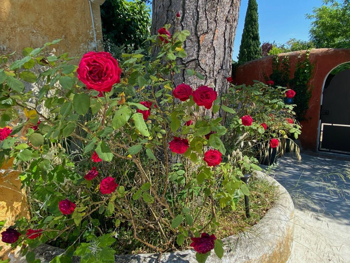 Le Clos De L'Isle Arles Esterno foto
