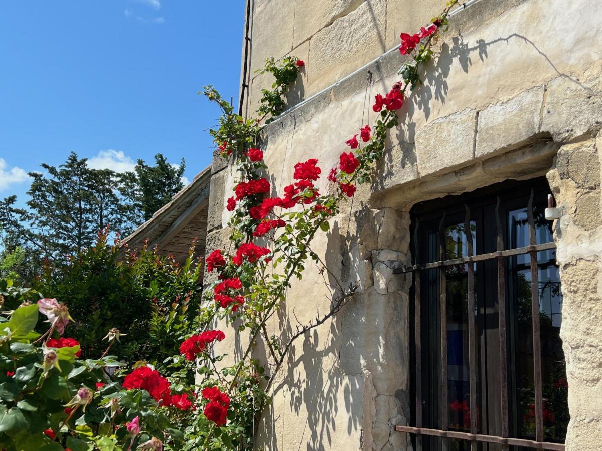 Le Clos De L'Isle Arles Esterno foto
